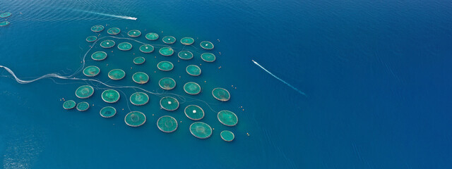 Aerial drone ultra wide photo of large fish farming unit of sea bass and sea bream in growing cages...