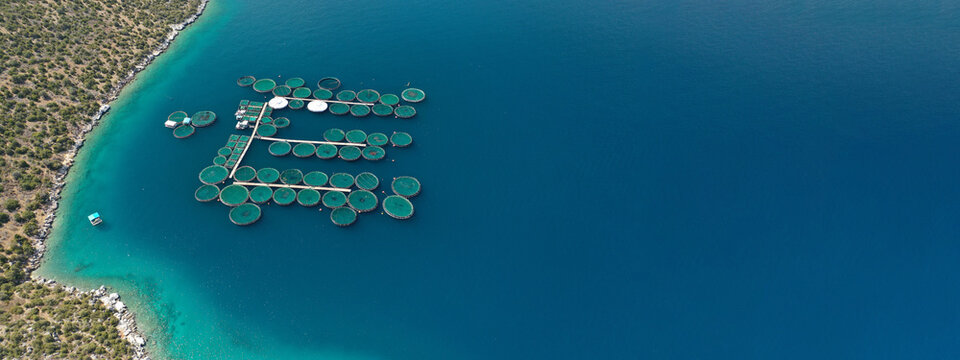 Aerial drone ultra wide photo of large fish farming unit of sea bass and sea bream in growing cages in calm waters of Mediterranean destination