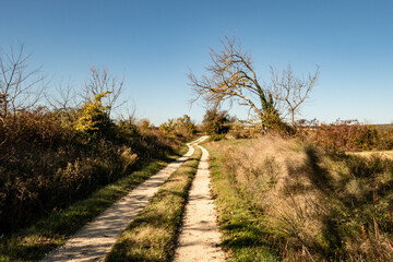 country path