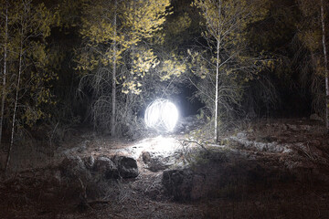 Fototapeta na wymiar light ball in the forest
