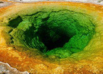 Colorful Morning Glory Pool At Upper Geyser Basin Yellowstone National Park On A Sunny Summer Day