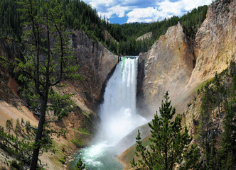 Fototapeta premium View To The Lower Yellowstone Falls From Red Rock Point On A Sunny Summer Day With A Clear Blue Sky And A Few Clouds