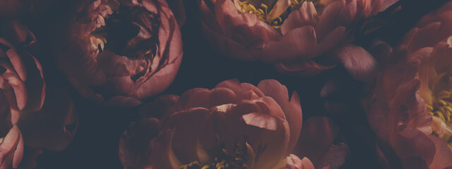 Dunkles Vintage-Foto des Blumenstraußes aus roten Pfingstrosen auf Schwarz. Floristische Dekoration. Blumenhintergrund. Barockes Bild im altmodischen Stil. Natürliche Blumenmustertapete oder Grußkarte