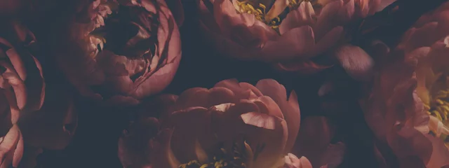 Dunkles Vintage-Foto des Blumenstraußes aus roten Pfingstrosen auf Schwarz. Floristische Dekoration. Blumenhintergrund. Barockes Bild im altmodischen Stil. Natürliche Blumenmustertapete oder Grußkarte © Rymden