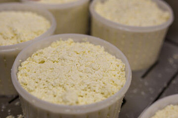equipment of a private cheese factory and stages of preparation and production