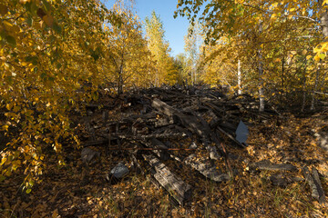 Obraz premium Dump of radioactive railroad ties near Chernobyl nuclear power plant in Ukraine