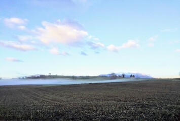 Fototapeta na wymiar Paysage de champ avec brouillard