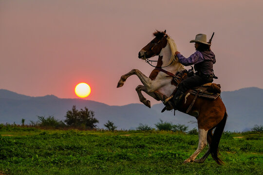 Horse With Cowboy Rearing Up On Land During Sunset