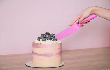 
Sliced ​​sponge cake with blueberries on a wooden table with a pink knife