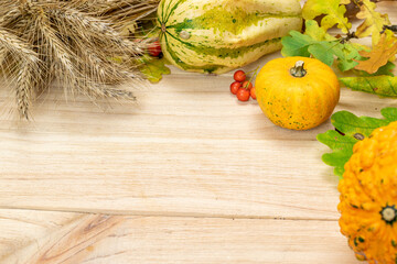 Autumn leaves background. Natural harvest with wheat grain ear orange pumpkin, fall dried leaves,...