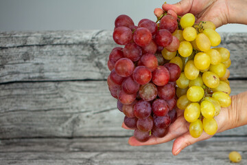 Hands hold two bunches of grapes of different colors.