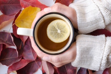 Cup of tea in female hands close-up on a background of red leaves.