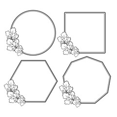 Set of hand-drawn leaves geometrik frames. Round , square floral borders . - 394251594
