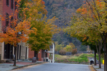 Fall trees and buildings