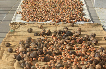 walnuts and hazelnuts on jute bags