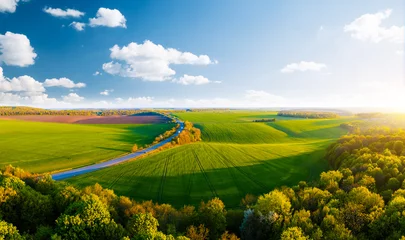 Foto op Canvas Scenic aerial photography of rural road passing through agricultural land and green fields. Top view drone shot. © Leonid Tit