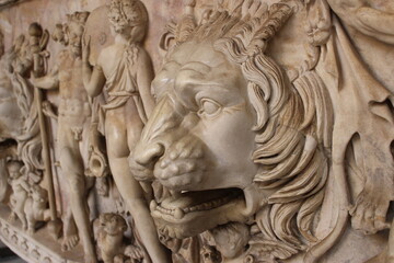 Fototapeta na wymiar detail of a sculpture of a lion