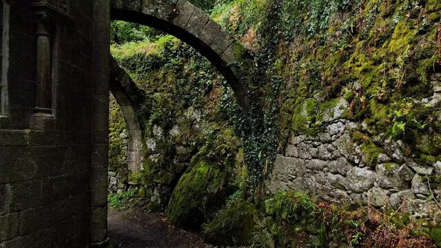 Punto de vista caminando entre los arcos de una antigua iglesia rom&aacute;nica con paredes de piedra recubiertas de musgo