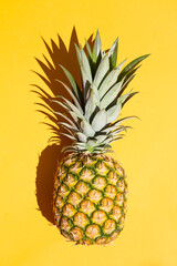 Pineapple