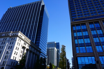 Fototapeta na wymiar 東京丸の内の高層ビル群