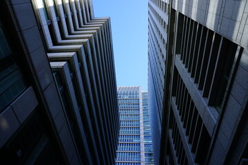 Fototapeta na wymiar 東京丸の内の高層ビル群