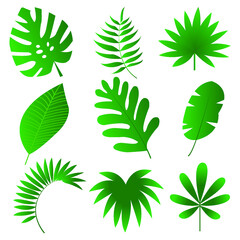 Flat leaf vector illustration set