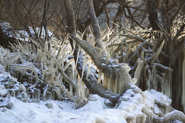 Krajobraz zimowa sceneria skute lodem gałęzie i drzewa w lesie