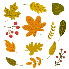 Set of autumn orange and yellow leaves isolated on white background. Colorful seasonal autumn vector elements. Cartoon illustration.