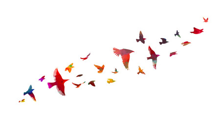 Bird watercolor. A flock of colorful birds. Mixed media. Free birds. Vector illustration