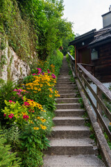 Fototapeta na wymiar rock stairs surrounded by beautiful flowers