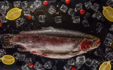 Salmon in ice with lemons on a black and wilted background, fresh headless fish