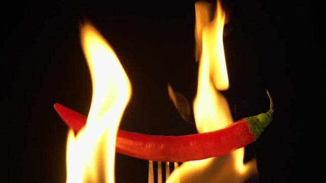 Red hot chili pepper in fire on black background. Spicy pepper