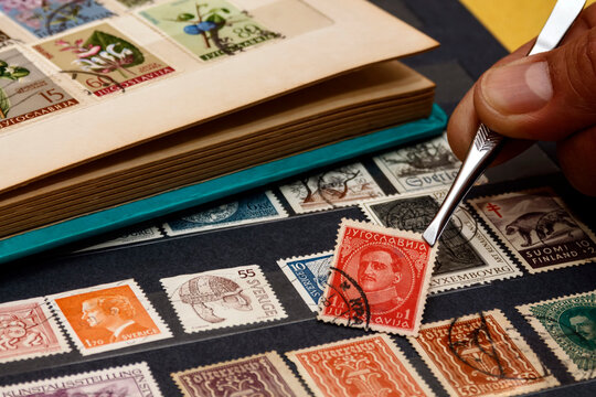 The philatelist holds the postage stamp using tweezers above the stamp album