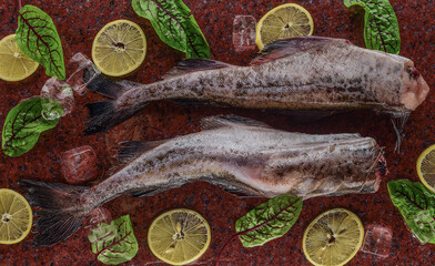 Salmon in ice with lemons on a black and wilted background, fresh headless fish