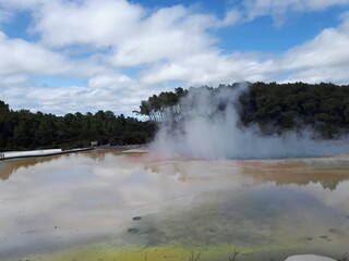 Geyser at Wai-o-Tapu. 