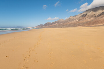 Footprints in sand on Cofete beach, Fuerteventura island