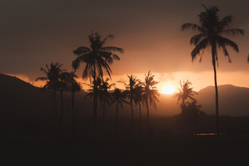 Image of a dramatic beautiful sunset in the mountains of Lombok, West Nusa Tenggara, Indonesia. Palm tree silhouettes with dark clouds in the background.