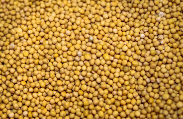 Mustard seeds background, close up