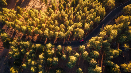 Sinuosas carreteras en Gran Canaria 