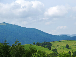Green grassy pastures in the mountains of the Carpathians. Mountain silhouette on sky background