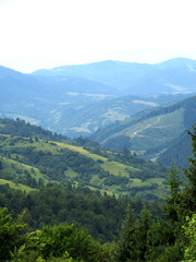 Fototapeta na wymiar Green highlands of the Carpathian mountains with forest and roads on the ridge