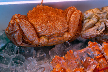 Crabe royal posé sur de la glace