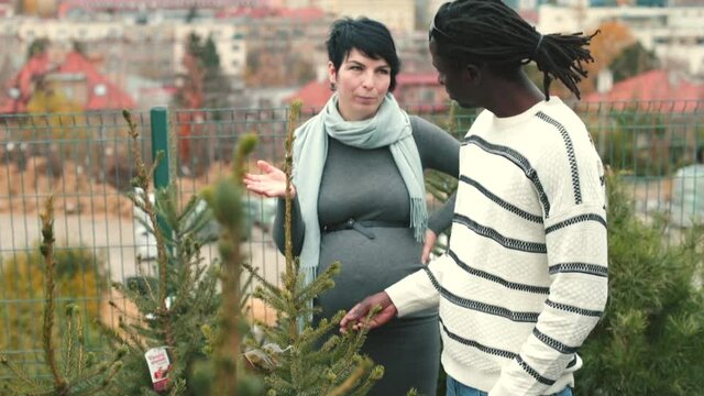 Outdoor individual lesson with an African American tutor. Learning a language with a native speaker before emigration. Trees and plants theme. Example conversations and exercises to help speak better.