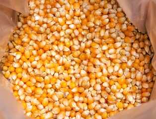 Organic popcorn in a plastic bag from above