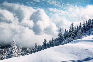 Fantastic winter landscape with snowy trees and incredible cloudscape. Carpathian mountains, Ukraine, Europe. Christmas holiday concept