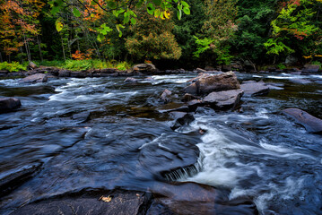 Autumn leaf colour with a long exposure of stream and flowing water