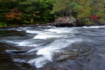 Landscape in autumn.  Autumn leaf colour with stream and flowing water