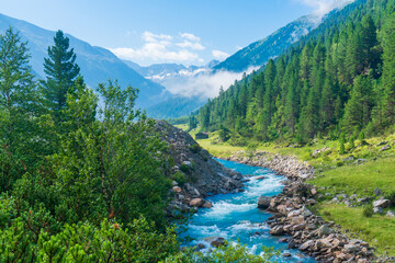 Obraz premium The Krimmler Ache river in the High Tauern National Park, Austria