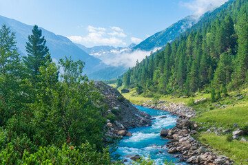 Fototapeta na wymiar The Krimmler Ache river in the High Tauern National Park, Austria