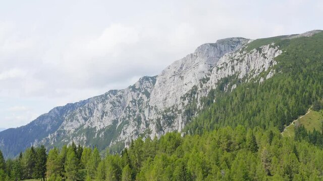 Untouched forest and Alpine peaks, Peca Mountain, Slovenia. Slow aerial ride
